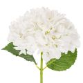 Floristik24 Fiore di ortensia artificiale con stelo lungo per decorazione, 48 cm