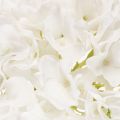 Fiore di ortensia artificiale con stelo lungo per decorazione, 48 cm | Floristik24.it
