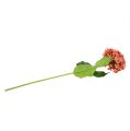 Floristik24 Ortensia rosa 80 cm 1 pz