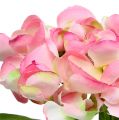 Floristik24 Ortensia rosa 33 cm