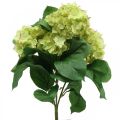 Floristik24 Bouquet di fiori artificiali artificiali di ortensia verde 5 fiori 42 cm
