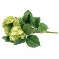 Floristik24 Bouquet di fiori artificiali artificiali di ortensia verde 5 fiori 42 cm