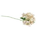 Floristik24 Fiore da giardino artificiale color crema di ortensia con boccioli 52 cm