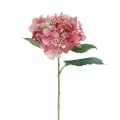 Floristik24 Fiore artificiale da giardino ortensia rosa e verde con boccioli 52 cm