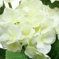 Floristik24 Bouquet di fiori artificiali di seta bianca di ortensia decorazione estiva 42 cm