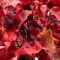 Ramo fiorito di ortensia artificiale, fiore grande, 74 cm | Floristik24.it