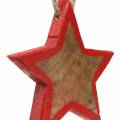 Floristik24 Decorazione natalizia stella in legno natura / rosso 8 cm 15 pezzi