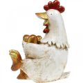 Floristik24 Pollo pasquale, gallina decorativa, gallina con uova d&#39;oro, figura pasquale H24cm
