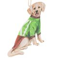 Decorazione natalizia a forma di cane, ornamento decorativo da appendere, cane con sciarpa e cappello, 12 cm, 2 pezzi | Floristik24.it