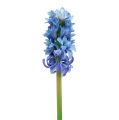Floristik24 Giacinto artificiale blu, bianco 31 cm 3 pezzi