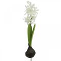 Floristik24 Giacinto artificiale con bulbo fiore artificiale bianco da attaccare 29cm
