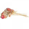Floristik24 Riccio con bastoncini di fiori, decorazione in legno, figura autunnale H9,5 cm L32 cm 12 pezzi