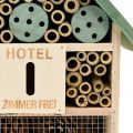 Floristik24 Casetta per insetti in legno per hotel verde naturale 26,5x9x31 cm