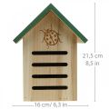Legno dell&#39;hotel degli insetti, coccinella del giardino della casa degli insetti H21.5cm