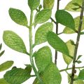 Pianta artificiale in vaso, alta 130 cm, verde, decorativa | Floristik24.it