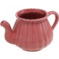 Floristik24 Teiera decorativa vaso per piante in ceramica rosa, rosso, bianco L19cm 3pz