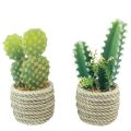 Floristik24 Cactus in vaso cactus artificiali assortiti 28cm 2pz