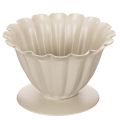 Floristik24 Ciotola, calice, calice di fiore, decorazione color crema, 9 cm
