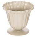 Floristik24 Ciotola decorativa, trofeo color crema, piccola, 10 cm