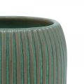 Floristik24 Vaso in ceramica con scanalature Vaso in ceramica verde chiaro Ø13cm H20cm