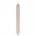 Floristik24 Candela candela lunga da tavolo candela crema Ø3cm H29cm