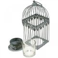 Floristik24 Candela decorazione, gabbia per uccelli con vetro tealight, lanterna in metallo, decorazione matrimonio, lanterna 22cm