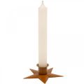 Floristik24 Candele candeliere Stella dell&#39;Avvento marrone Ø9,5 cm 4 pezzi