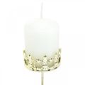 Floristik24 Corona portacandela, decorazione candela Natale, portacandele per ghirlanda dell&#39;Avvento dorato Ø5,5 cm 4 pezzi