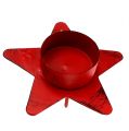Floristik24 Portacandele a forma di stella per tealight 10x7cm rosso
