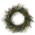 Floristik24 Ghirlanda artificiale di rami di pino con pigne, 60 cm