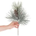 Ramo di pino artificiale con pigne, invernale, 40 cm | Floristik24.it