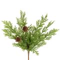 Floristik24 Ramo di pino artificiale con pigne, 28 cm, 6 pezzi