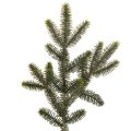 Floristik24 Ramo di abete artificiale per decorazioni e composizioni da tavola, 45 cm, 3 pezzi