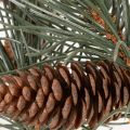 Ramo di pino artificiale con pigne, decorazione per soggiorno, 93 cm | Floristik24.it