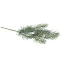 Floristik24 Ramo di pino artificiale con neve, ramo decorativo 40 cm