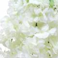 Floristik24 Ramo di fiori di ciliegio con 5 rami artificiali bianchi 75 cm
