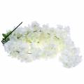 Floristik24 Ramo di fiori di ciliegio con 5 rami artificiali bianchi 75 cm