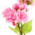 Floristik24 Ramo di fiori di ciliegio rosa 100 cm