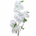 Floristik24 Ramo di fiori di ciliegio bianco artificiale 103 cm