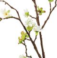 Floristik24 Ramo di fiori di ciliegio bianco 95cm