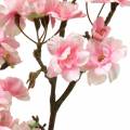 Floristik24 Ramo di fiori di ciliegio rosa 105 cm