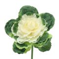 Floristik24 Cavolo ornamentale artificiale bianco, verde 25 cm 6 pezzi