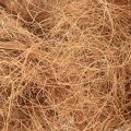 Floristik24 Materiale artigianale in fibra vegetale naturale in fibra di cocco 1 kg