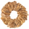 Floristik24 Ghirlanda di funghi per alberi, colore naturale, per decorazione di porte o pareti, 37 cm