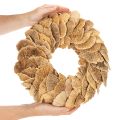 Ghirlanda di funghi per alberi, colore naturale, per decorazione di porte o pareti, 37 cm | Floristik24.it