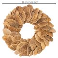 Ghirlanda di funghi per alberi, colore naturale, per decorazione di porte o pareti, 37 cm | Floristik24.it