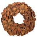 Floristik24 Ghirlanda di loto essiccato, ghirlanda decorativa per porta, 35 cm