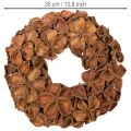 Ghirlanda di loto essiccato, ghirlanda decorativa per porta, 35 cm | Floristik24.it