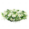 Floristik24 Ghirlanda di fiori deco bianco Ghirlanda porta Bellis fiori di seta Ø30cm
