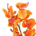 Floristik24 Orchidea artificiale Mokara arancione 50 cm 6 pezzi